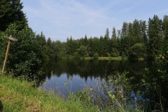 Waldvierteltour_18.JPG
